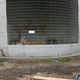 Photo: Big Cat Rescue